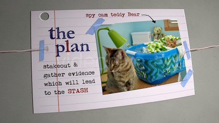 After Effects Project Files - Index Card Mystery - VideoHive 2605628