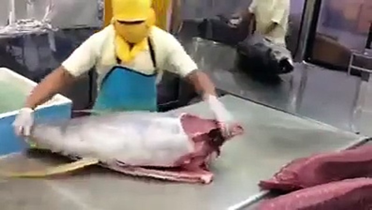 Suşi Restoranında Orkinos Balığı Bakın Nasıl Kesiliyor..