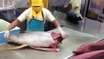 Suşi Restoranında Orkinos Balığı Bakın Nasıl Kesiliyor..