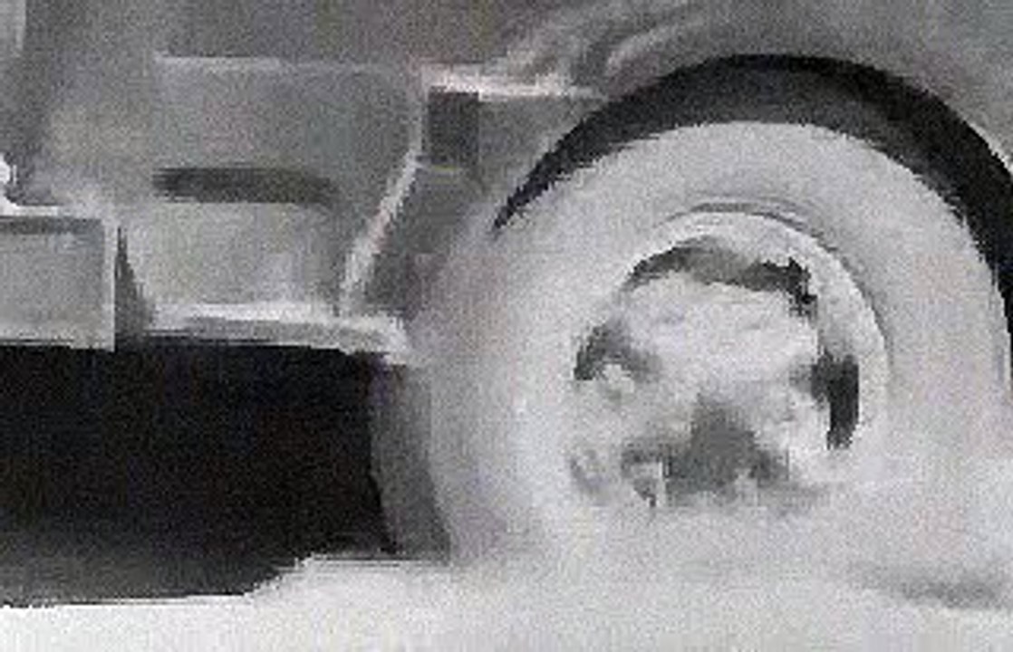 Afrika Korps - Regia Aeronautica in Action 1940-41