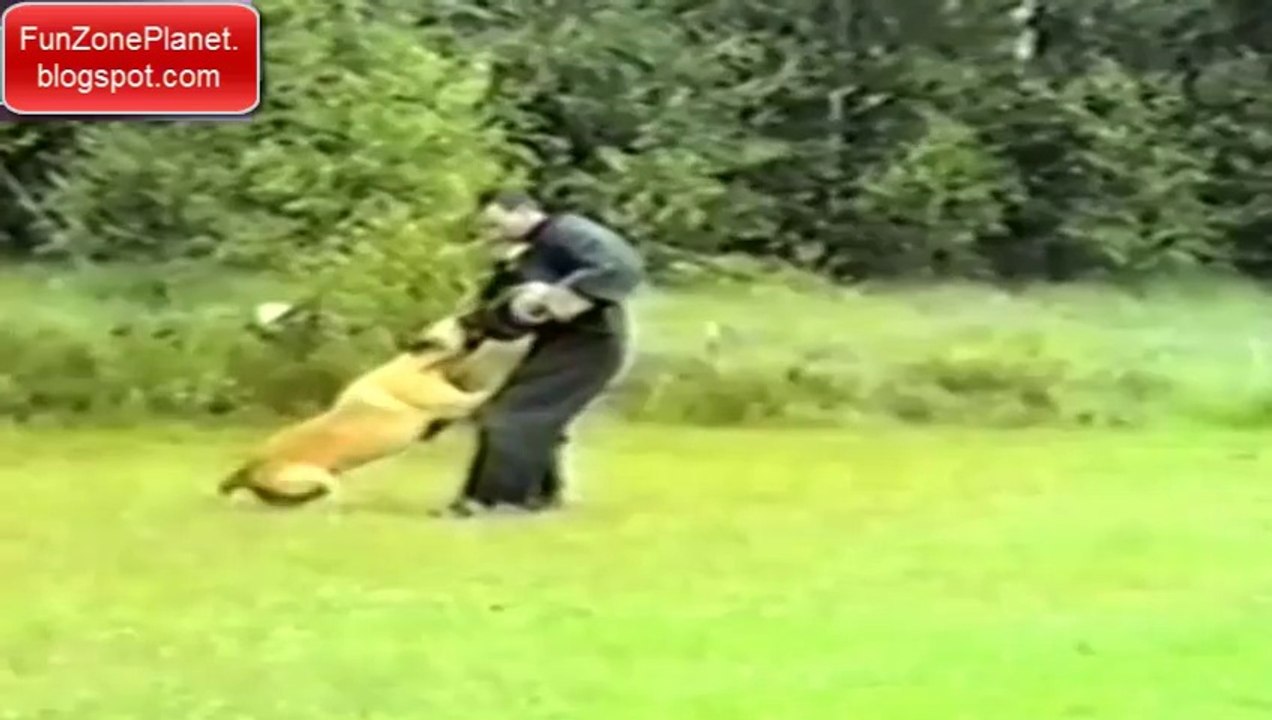 funny human accidents