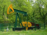 В Хорватии лечат пациентов целебной нефтью
