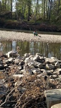 Random kid dances to music : epic moment!