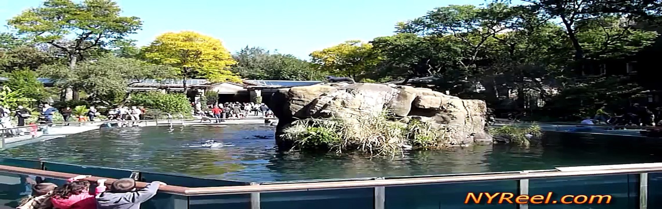 The Central Park Zoo In New York City