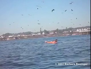 Des orques surgissent de l'eau à coté d'une surfeuse. La peur de sa vie !