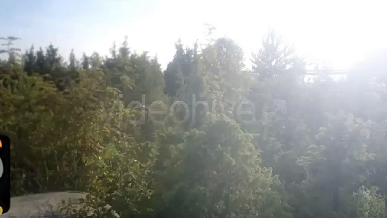 After Effects Project Files - Rock in Nature - Tracked Scene 3 - VideoHive 3470029