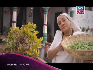 Badnaseeb - Teaser 01 - ARY Zindagi