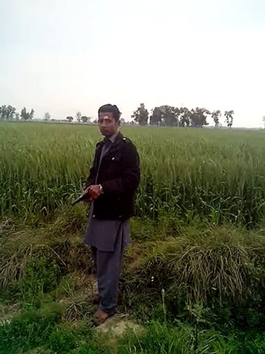 rksan ali firing