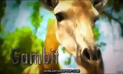 Full Documentaries Hungry Lions Discovery Channel Animals, National Geographic Wild HQ |Fu