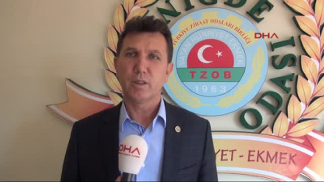 Niğde Ziraat Odası Başkanı Veli Kenar Patates Fiyatlarıyla İlgili Açıklama Yaptı