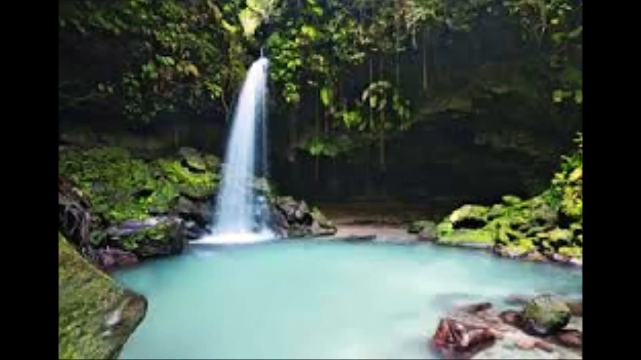 Der Blaue Reiter - Paradise