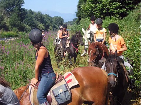 Promenade à Cheval avec Baignade à la mer, Argelès-Sur-Mer