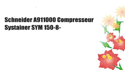 Schneider A911000 Compresseur Systainer SYM 150-8-