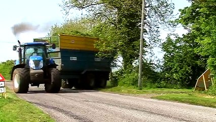 GRASSMEN - Fulla The Pipe (The Legend)