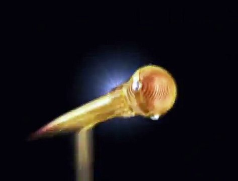 staroetv.su / Зимняя заставка (MTV, 2004-2005)