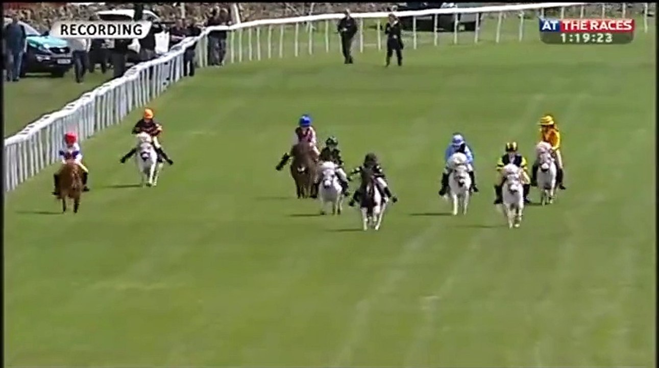 Course de poneys shetland avec des enfants