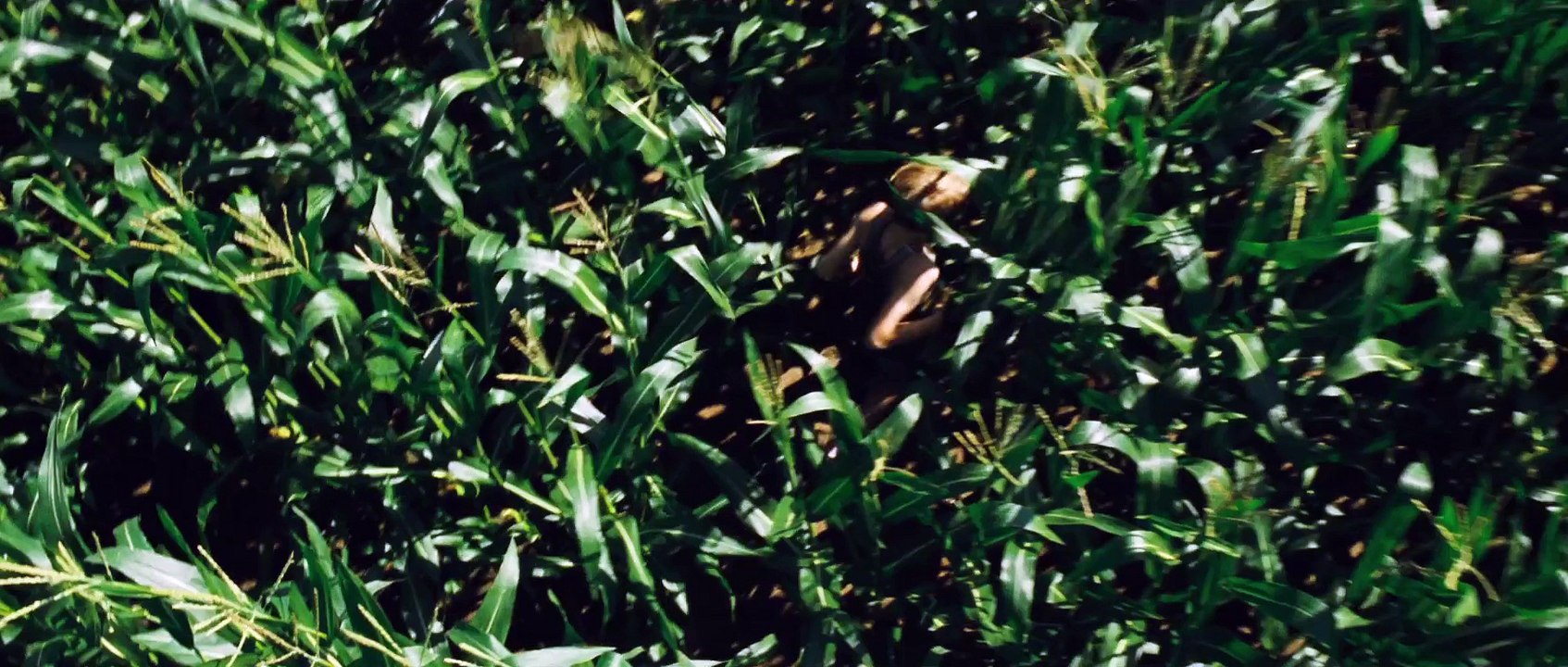 Goodnight Mommy (Ich seh, ich seh) de Veronika Franz et Severin Fiala