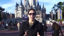 Disney World Castle ON FIRE and Shapeshifting!!! 3D Building Projection Mapping 1/27/2011