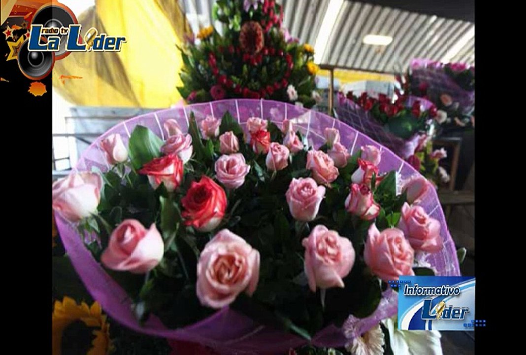 INFORMATIVOLIDER 070515