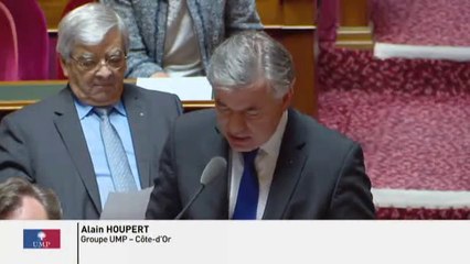 Forêts : " Notre pays n’est pas la puissance forestière qu’elle pourrait être ! "