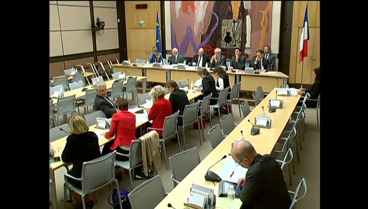 Mon intervention en commission des affaires économiques sur le secret des affaires