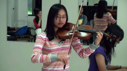 Bleach - Never Ment to belong - violin cover