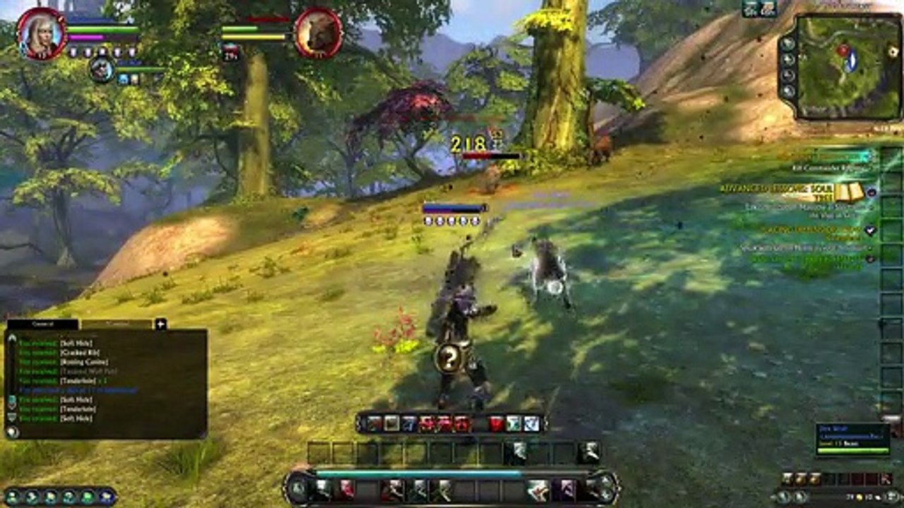 Rift MMORPG Rogue Gameplay