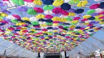 Umbrellas in the sky, Agueda. Guarda-chuvas no ceu, Agueda