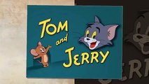 Tom and Jerry Cartoon The Duck Doctor 2