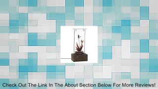 Dragonfly & Cattail Cove Design Garden Serenity Water Fountain w Glass Wall Review