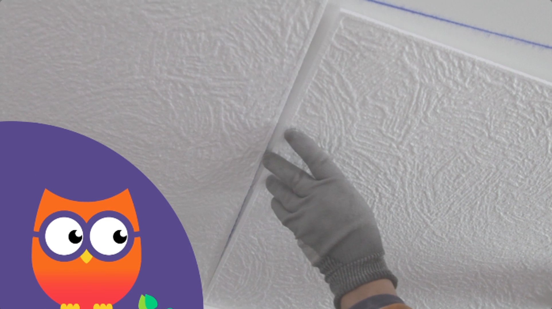 Comment poser des dalles de plafond décoratives (Ooreka.fr) - Vidéo  Dailymotion