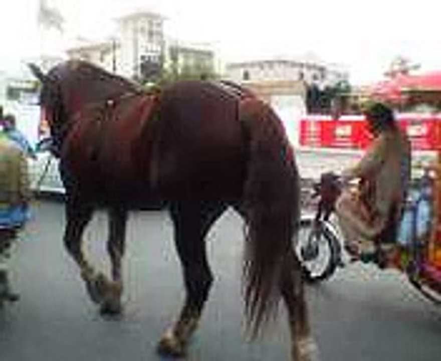badal