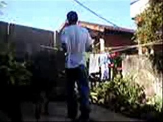 Adestramento Pastor Alemão - Vazante-MG