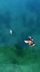 Ahtapot Yengeci Bakın Nasıl Kovalıyor.!!