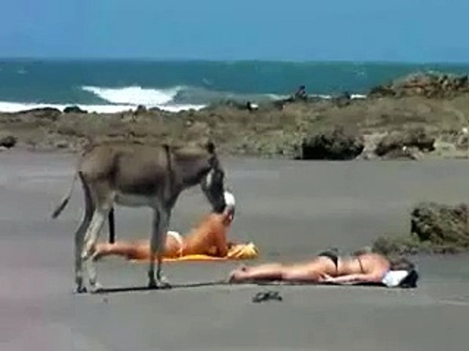 EL MIRON EN LA PLAYA EL TUNCO