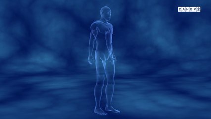 Mecanique musculo articulaire