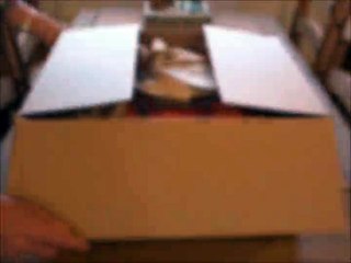 Iams Cat Food ProActive Health Adult