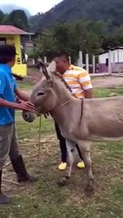 Oh iyi oldu! İşte böyle yere yapışırsın!