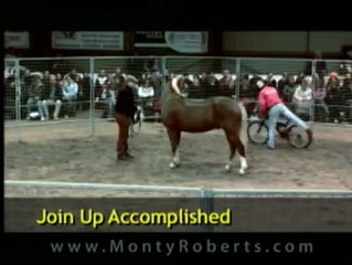 Monty Roberts and Chester