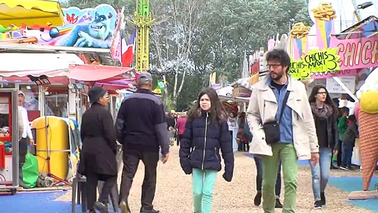 Des manèges 100% sensation