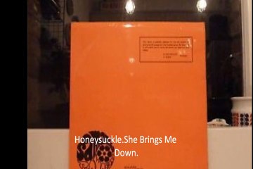 Honeysuckle  "She Brings Me Down" 1970 UK Psych Rock