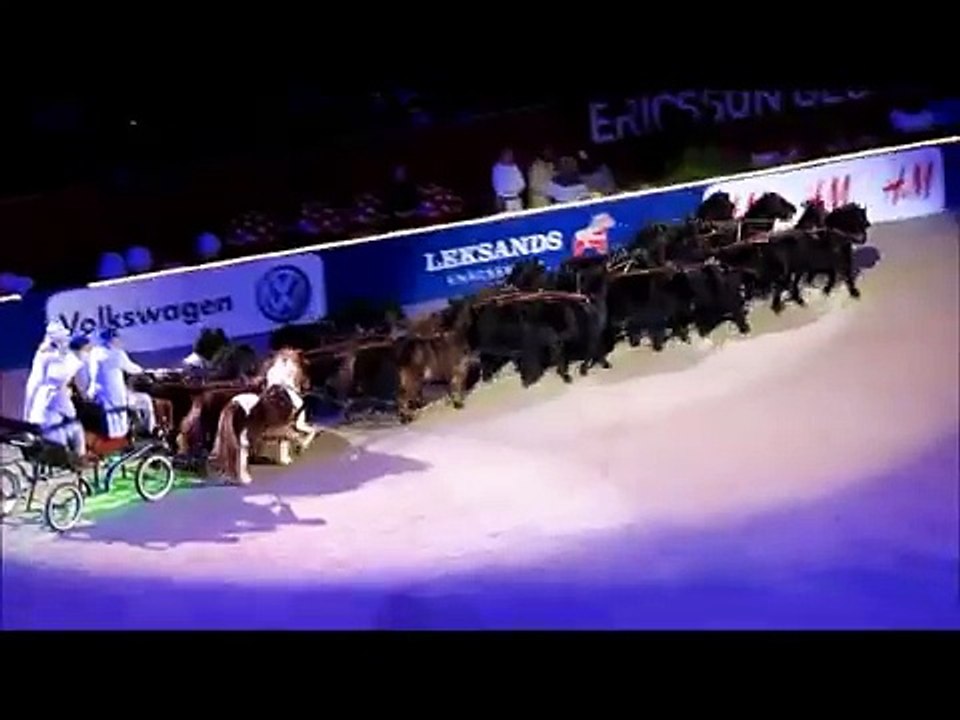 Horse show 2012