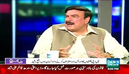 Zardari Kachi Goliyan Nahi Khelnay Wala Us Ka Urbo Ka Masla Hai Sheikh Rasheed