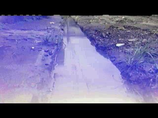 tn7-perros-traba-140415