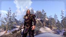 The Elder Scrolls Online : Tamriel Unlimited - Liberté de choix en Tamriel