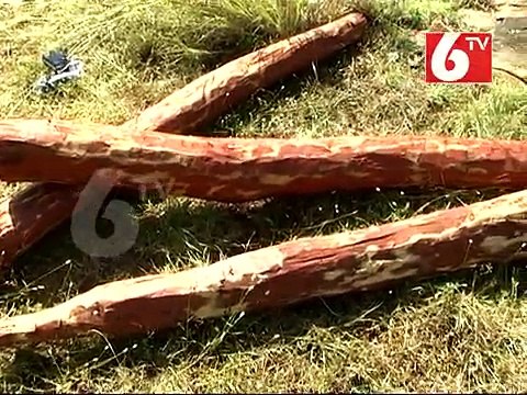 AP Police Arrests 103 Accused Persons In The Case Of Smugglers Attacks On Forest Officers.