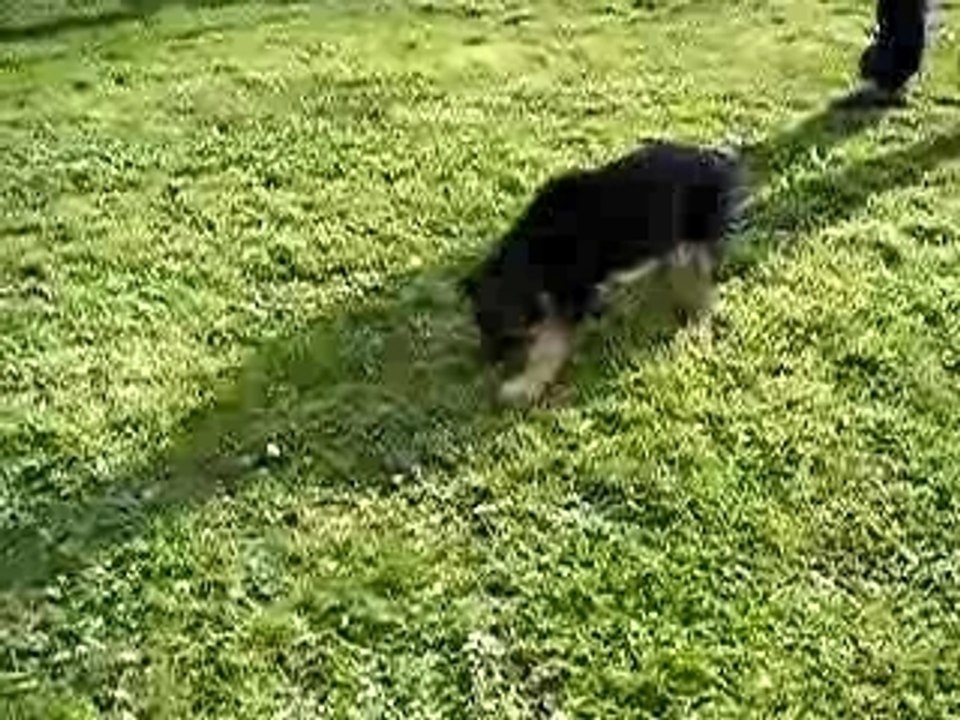 jeux au jardin2