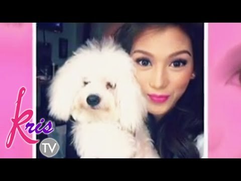 Meet Alex's dog, Feely