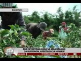 TV Patrol Caraga - May 7, 2015