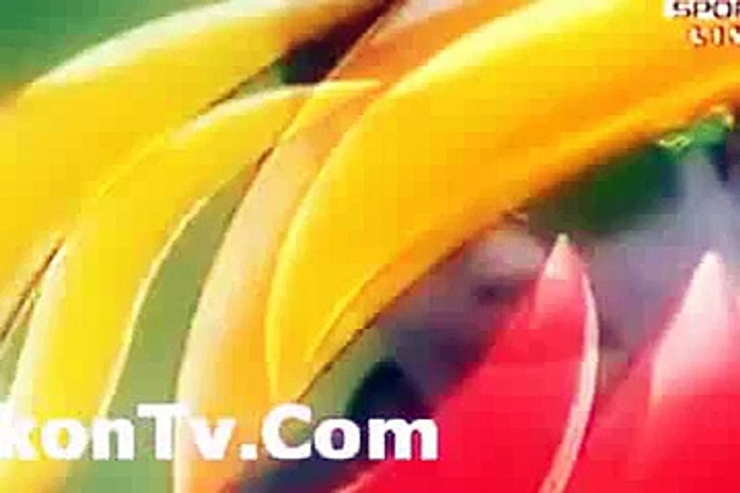 AB de Villiers Shots vs West Indies, 19th Match Highlights ICC Cricket World Cup 2015